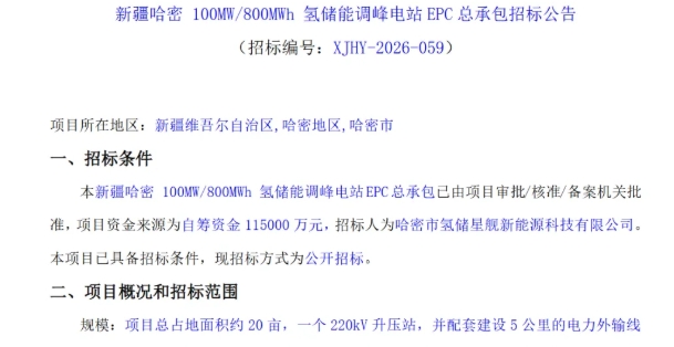 80套电解槽，两氢储能项目EPC招标！(新疆氢能展报道）